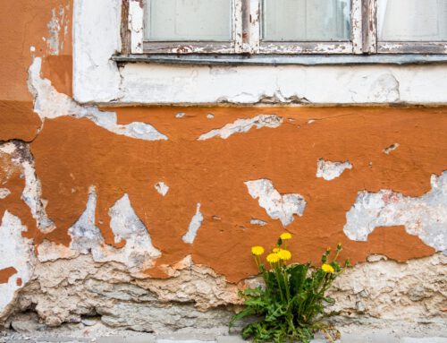 Resilienz – Die Fähigkeit auch schwierige Zeiten zu überstehen